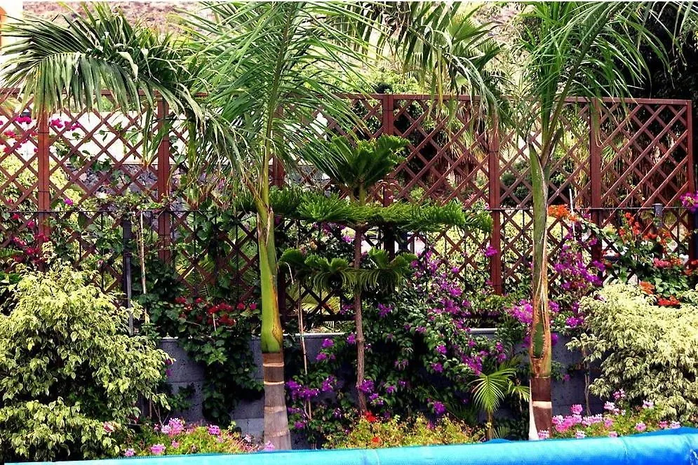 Villa With Private Pool And Beautiful Garden Los Cristianos  Holiday home